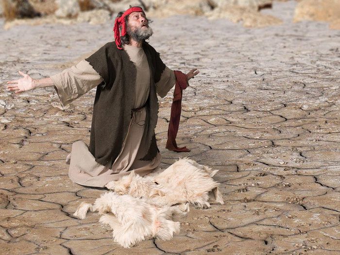 6033a4fe505eb8c03d442270591efe2e