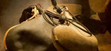 img_4328-e1484664848578