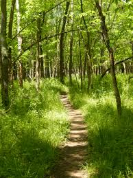 Meditation on 2 Thessalonians 2:1-3, 14-17 | Missioning Pics 'n Flicks